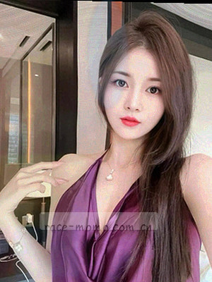 《角与翼纹章集》图鉴封面：角形与翼型的纹章线稿